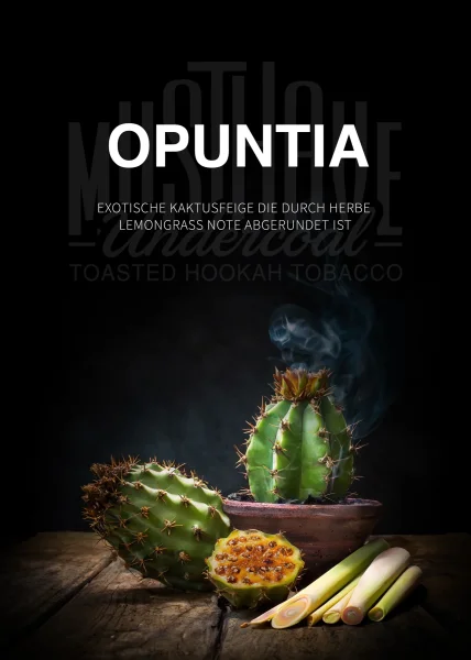 Musthave | Opuntia | Shishatabak | 200g