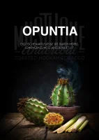 Musthave | Opuntia | Shishatabak | 200g